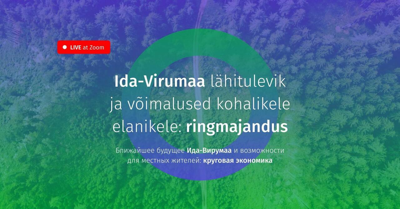 Ida Virumaa Elanikega Ettevõtjatega Ja Teiste Huvilistega Lihviti